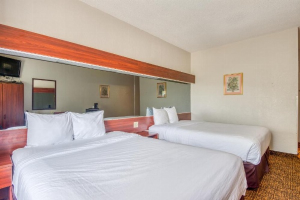 Trident Inn and Suites image 22